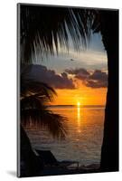 Sunset Landscape - Miami - Florida-Philippe Hugonnard-Mounted Photographic Print