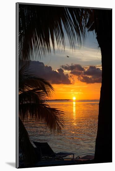 Sunset Landscape - Miami - Florida-Philippe Hugonnard-Mounted Photographic Print