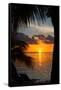 Sunset Landscape - Miami - Florida-Philippe Hugonnard-Framed Stretched Canvas