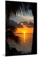 Sunset Landscape - Miami - Florida-Philippe Hugonnard-Mounted Premium Photographic Print