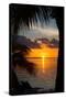 Sunset Landscape - Miami - Florida-Philippe Hugonnard-Stretched Canvas