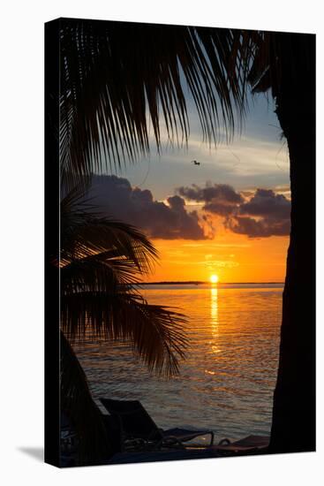 Sunset Landscape - Miami - Florida-Philippe Hugonnard-Stretched Canvas
