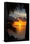 Sunset Landscape - Miami - Florida-Philippe Hugonnard-Framed Stretched Canvas