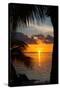 Sunset Landscape - Miami - Florida-Philippe Hugonnard-Stretched Canvas