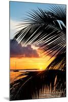 Sunset Landscape with a Yacht - Miami - Florida-Philippe Hugonnard-Mounted Photographic Print