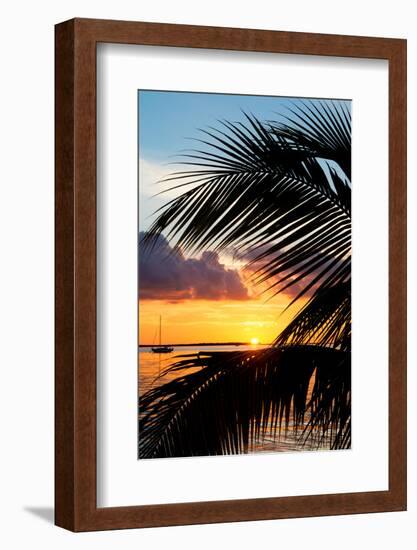 Sunset Landscape with a Yacht - Miami - Florida-Philippe Hugonnard-Framed Photographic Print