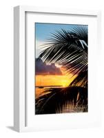 Sunset Landscape with a Yacht - Miami - Florida-Philippe Hugonnard-Framed Photographic Print