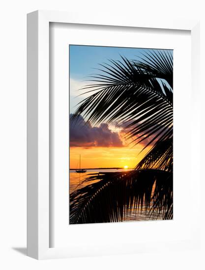 Sunset Landscape with a Yacht - Miami - Florida-Philippe Hugonnard-Framed Photographic Print