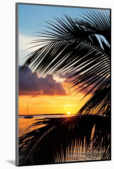 Sunset Landscape with a Yacht - Miami - Florida-Philippe Hugonnard-Mounted Photographic Print