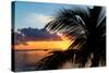 Sunset Landscape with a Yacht - Miami - Florida-Philippe Hugonnard-Stretched Canvas