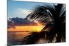 Sunset Landscape with a Yacht - Miami - Florida-Philippe Hugonnard-Mounted Photographic Print