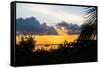 Sunset Landscape with a Yacht - Miami - Florida-Philippe Hugonnard-Framed Stretched Canvas
