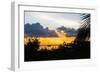 Sunset Landscape with a Yacht - Miami - Florida-Philippe Hugonnard-Framed Photographic Print