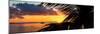 Sunset Landscape with a Yacht - Miami - Florida-Philippe Hugonnard-Mounted Premium Photographic Print