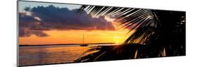 Sunset Landscape with a Yacht - Miami - Florida-Philippe Hugonnard-Mounted Photographic Print