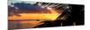 Sunset Landscape with a Yacht - Miami - Florida-Philippe Hugonnard-Mounted Photographic Print