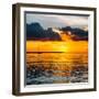 Sunset Landscape with a Yacht - Miami - Florida-Philippe Hugonnard-Framed Premium Photographic Print