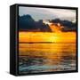 Sunset Landscape with a Yacht - Miami - Florida-Philippe Hugonnard-Framed Stretched Canvas