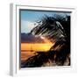 Sunset Landscape with a Yacht - Miami - Florida-Philippe Hugonnard-Framed Photographic Print