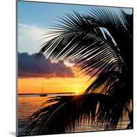 Sunset Landscape with a Yacht - Miami - Florida-Philippe Hugonnard-Mounted Photographic Print