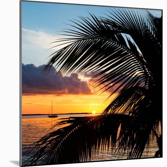 Sunset Landscape with a Yacht - Miami - Florida-Philippe Hugonnard-Mounted Photographic Print