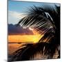 Sunset Landscape with a Yacht - Miami - Florida-Philippe Hugonnard-Mounted Photographic Print