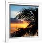 Sunset Landscape with a Yacht - Miami - Florida-Philippe Hugonnard-Framed Photographic Print