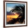 Sunset Landscape with a Yacht - Miami - Florida-Philippe Hugonnard-Framed Photographic Print