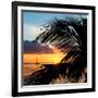 Sunset Landscape with a Yacht - Miami - Florida-Philippe Hugonnard-Framed Photographic Print