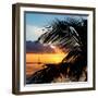 Sunset Landscape with a Yacht - Miami - Florida-Philippe Hugonnard-Framed Premium Photographic Print