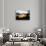 Sunset Landscape with a Yacht - Miami - Florida-Philippe Hugonnard-Stretched Canvas displayed on a wall