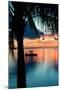 Sunset Landscape with Floating Platform - Florida-Philippe Hugonnard-Mounted Premium Photographic Print