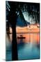 Sunset Landscape with Floating Platform - Florida-Philippe Hugonnard-Mounted Photographic Print