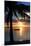 Sunset Landscape with Floating Platform - Miami - Florida-Philippe Hugonnard-Mounted Premium Photographic Print