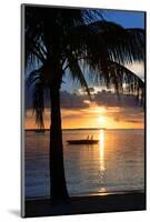 Sunset Landscape with Floating Platform - Miami - Florida-Philippe Hugonnard-Mounted Photographic Print