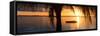 Sunset Landscape with Floating Platform - Miami - Florida-Philippe Hugonnard-Framed Stretched Canvas