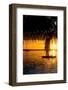 Sunset Landscape with Yacht and Floating Platform - Miami - Florida-Philippe Hugonnard-Framed Photographic Print