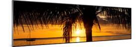 Sunset Landscape with Yacht - Miami - Florida-Philippe Hugonnard-Mounted Photographic Print