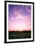 Sunset Landscape-null-Framed Photographic Print