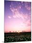 Sunset Landscape-null-Mounted Photographic Print