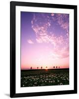 Sunset Landscape-null-Framed Photographic Print