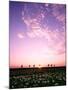 Sunset Landscape-null-Mounted Photographic Print