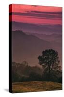 Sunset Layers, Mount Diablo, California-Vincent James-Stretched Canvas