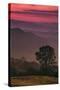 Sunset Layers, Mount Diablo, California-Vincent James-Stretched Canvas