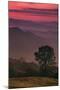 Sunset Layers, Mount Diablo, California-Vincent James-Mounted Photographic Print