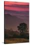 Sunset Layers, Mount Diablo, California-Vincent James-Stretched Canvas