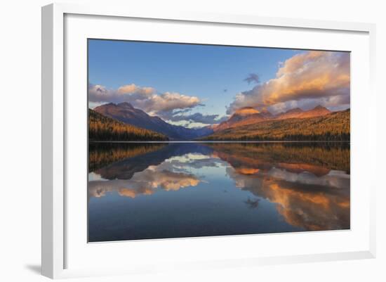 Sunset Light on Autumn Tamarack Trees over Bowman Lake in Glacier National Park, Montana Usa-Chuck Haney-Framed Photographic Print