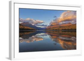 Sunset Light on Autumn Tamarack Trees over Bowman Lake in Glacier National Park, Montana Usa-Chuck Haney-Framed Photographic Print