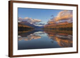 Sunset Light on Autumn Tamarack Trees over Bowman Lake in Glacier National Park, Montana Usa-Chuck Haney-Framed Photographic Print