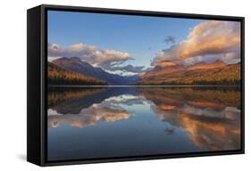 Sunset Light on Autumn Tamarack Trees over Bowman Lake in Glacier National Park, Montana Usa-Chuck Haney-Framed Stretched Canvas